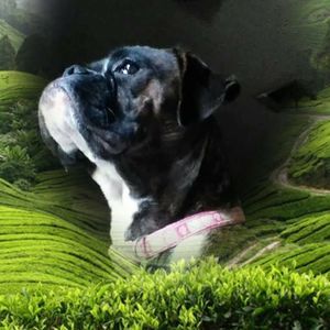 Meet your Posher, Kathryn